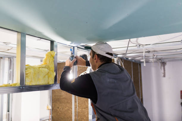 Professional Insulation Contractor in University Of Virginia, VA